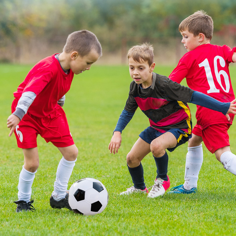 1Set Lightweight Portable Mini - đánh giá và giá Training Net Mini